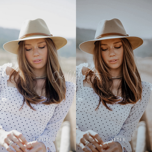 Blogger - One Click Filter