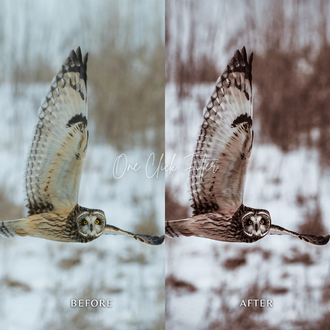 Adventure - One Click Filter