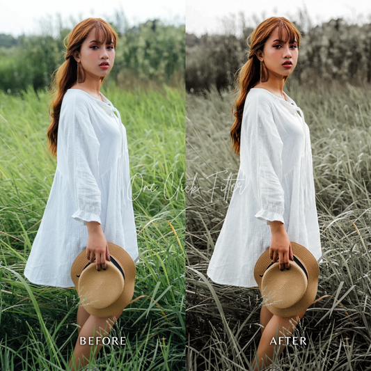 Rustic - One Click Filter