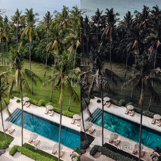 Moody Vibes - One Click Filter