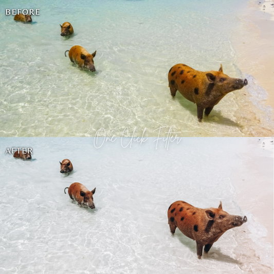 Bounty - One Click Filter