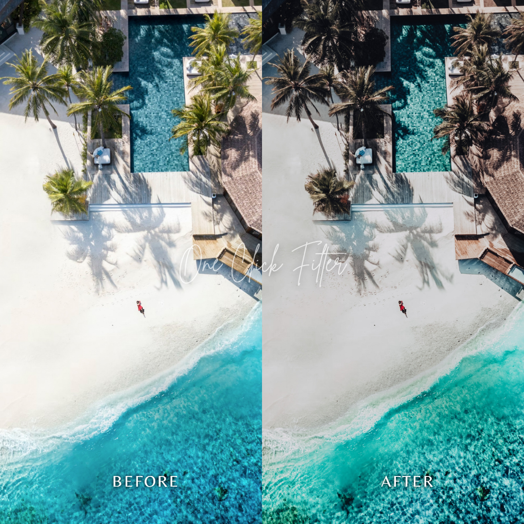 Moody Vibes - One Click Filter