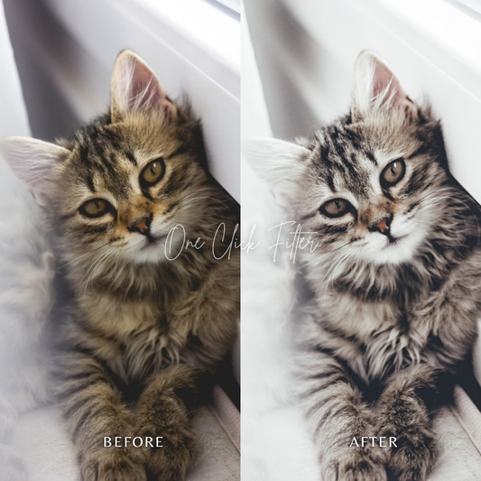 Winter Magic - One Click Filter