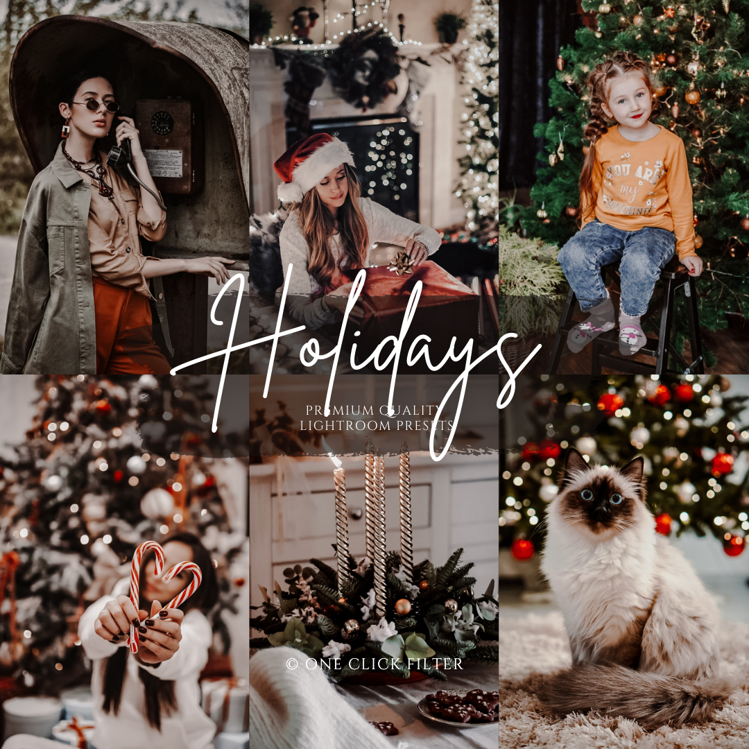 Cozy Bundel - One Click Filter