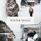 Winter Magic - One Click Filter