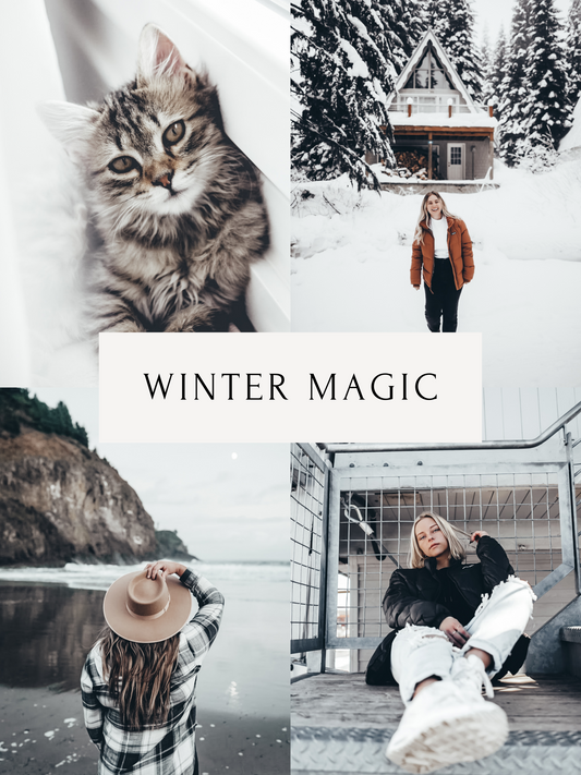Winter Magic - One Click Filter