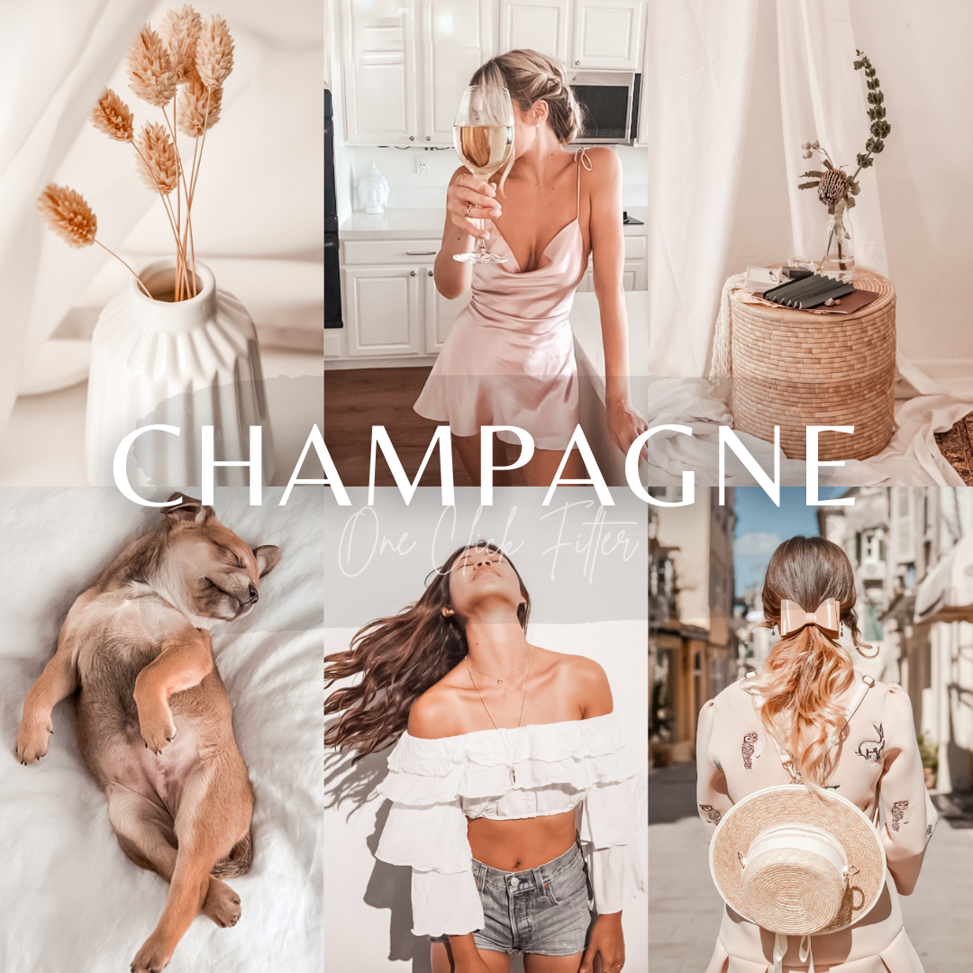 Champagne - One Click Filter