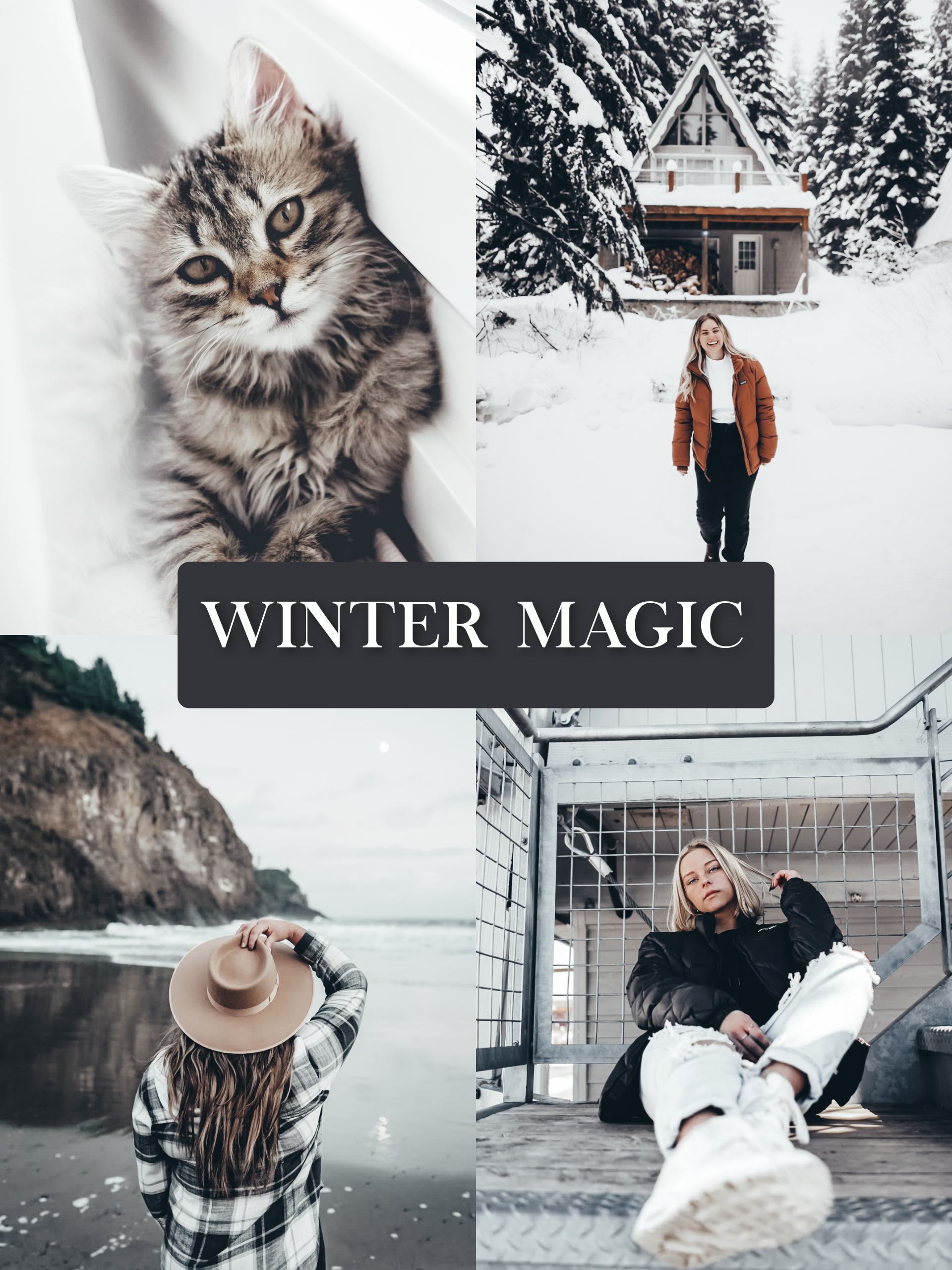 Winter Magic - One Click Filter